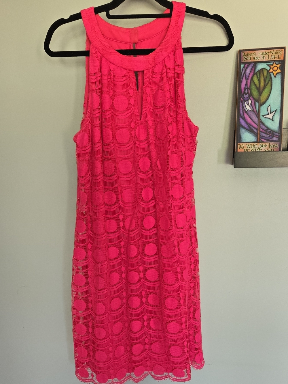 Bright Pink Lace Sleeveless Shift Dress 14